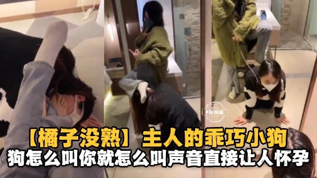 橘子没熟主人的乖巧小狗狗怎么叫你就怎么叫声音直接让人怀孕
