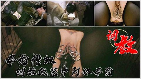 母狗性奴调教生活在铁笼中的阴环母狗跟公狗抢食尿液洗澡