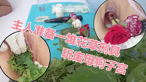母狗被主人用各种刑具折磨子宫都插进子宫母狗子宫干废