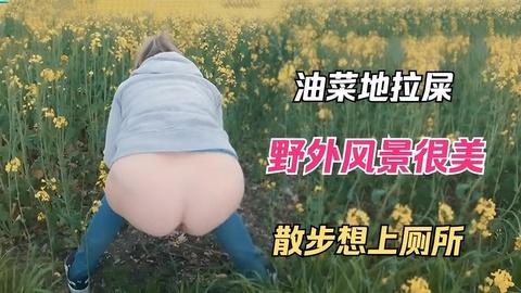 油菜花地里拉屎