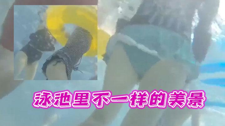 泳池里不一样的美景