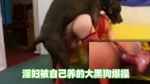 淫荡骚妇被大黑狗猛操鸡巴真大搞得嗷嗷叫