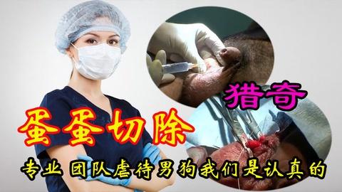 渣男天天强暴女儿被妻子药物昏迷后送医院把蛋蛋切割掉