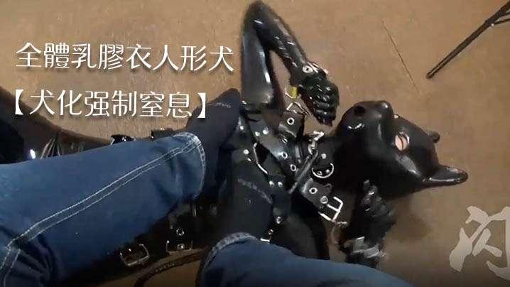 犬化强制窒息闪闪工作室喵全体乳胶衣人形犬