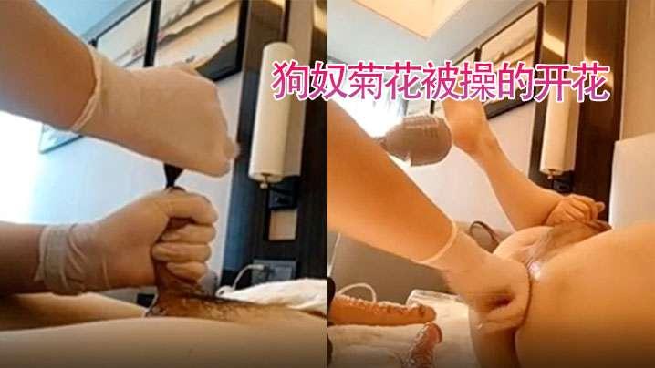 狗奴舔姨妈巾狗奴菊花被操的开花