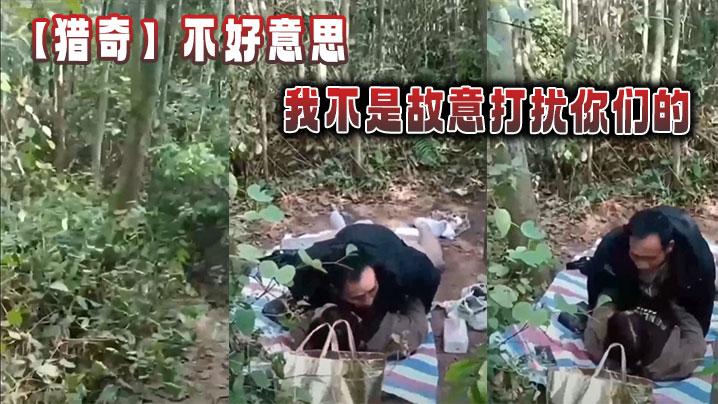 猎奇不好意思我不是故意打扰你们的
