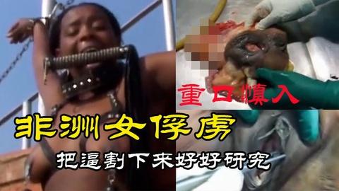 猎奇去非洲抓了个黑美人宰杀后把逼割下来回去好好操它