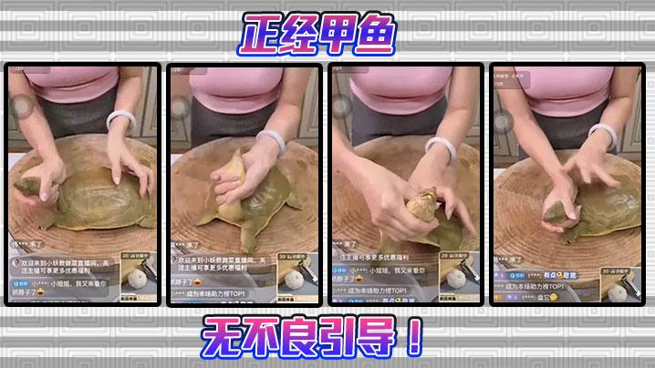 猎奇正经甲鱼无不良引导