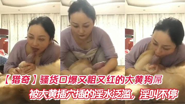 猎奇骚货口爆又粗又红的大黄狗屌被大黄插穴插的淫水泛滥淫叫不停
