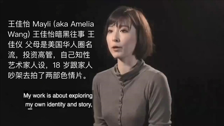 王佳怡专访美国华人圈名媛知性女艺术家王佳怡专访黑暗18岁三部曲完整版