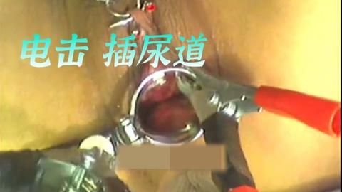 电击插尿道3