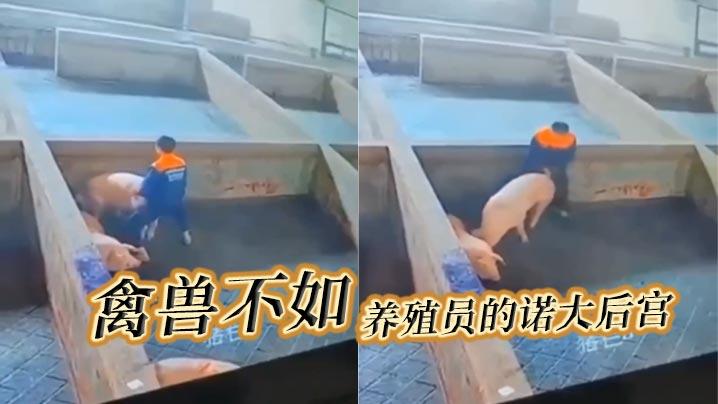 禽兽不如_养殖员的诺大后宫