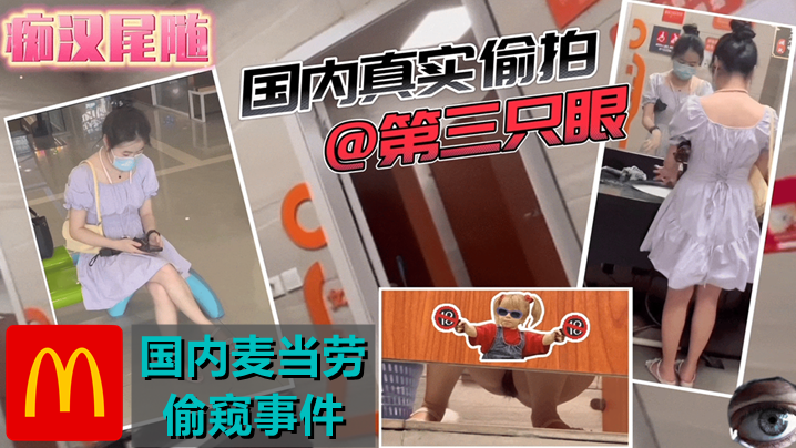 稀缺资源国内商场尾随-潜入麦当劳《高清有声版》