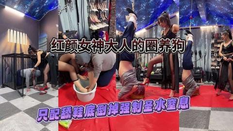 红颜女神大人的圈养狗只配舔鞋底倒掉强制圣水窒息