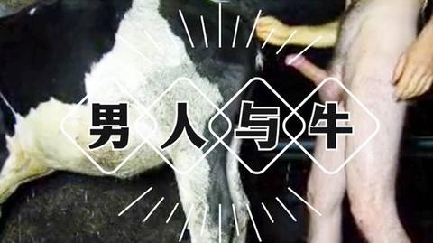 经典人与兽男子操牛无套内射