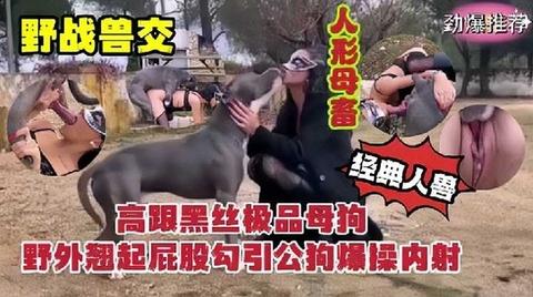 经典人兽野战兽交高跟黑丝极品母狗野外翘起屁股勾引公狗爆操内射