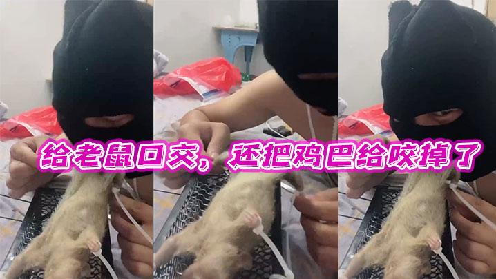 给老鼠口交还把鸡巴给咬掉了牛逼