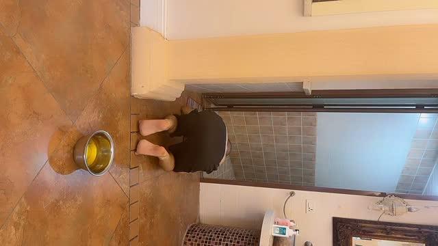 绯闻女王的老贱狗竟然说吃不下主人好好教训教训