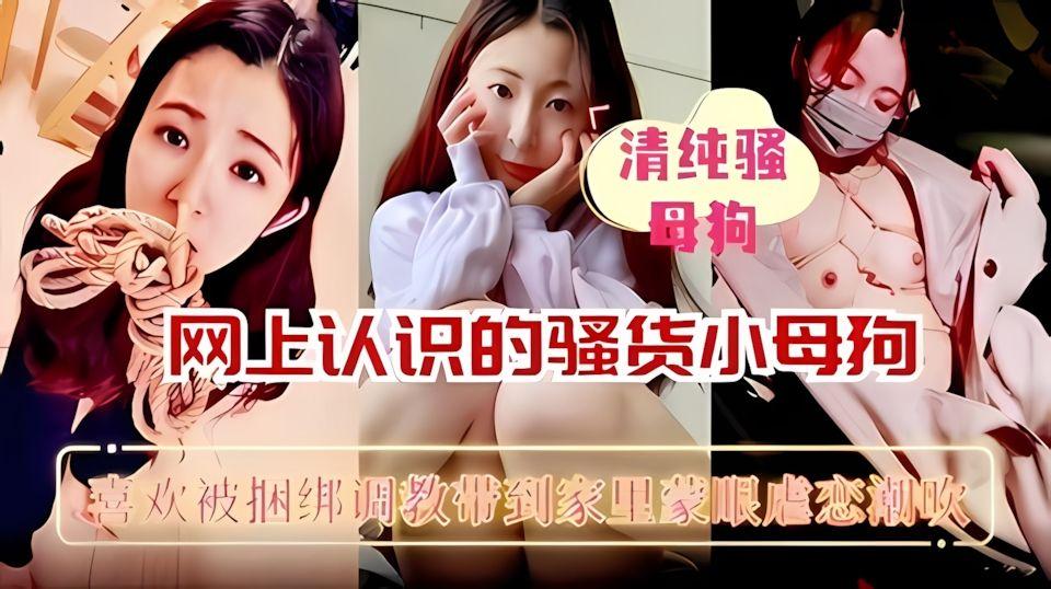 网上认识的小母狗把她套路回家狠狠的虐待