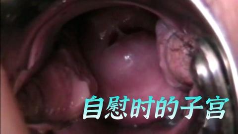 自慰时的子宫