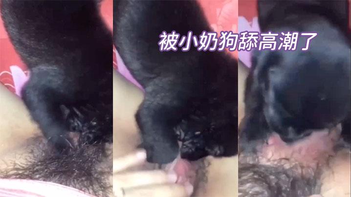 被小奶狗舔高潮了