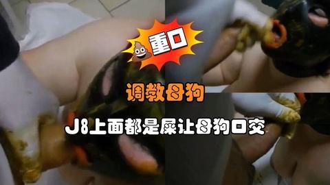 调教母狗J8上面都是屎让母狗交