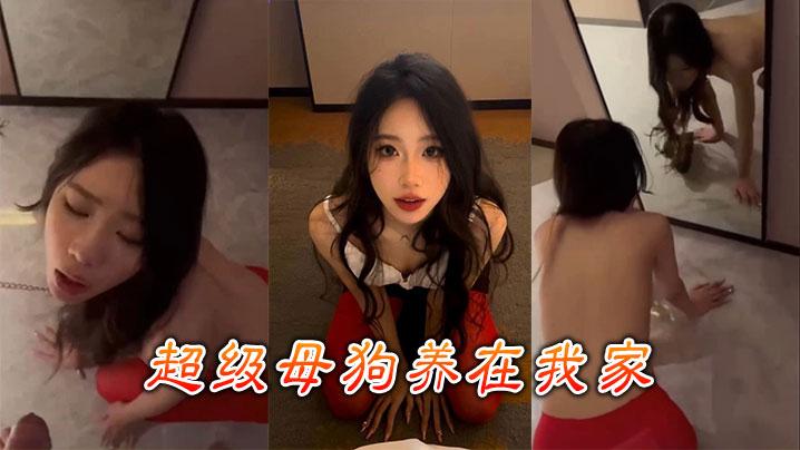 超级母狗养在我家