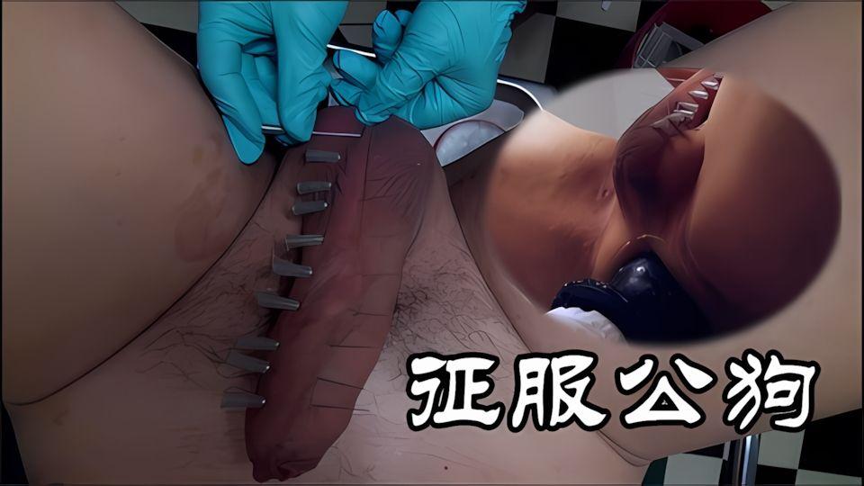 这只公狗乱咬人送去女神权家里给调教调教