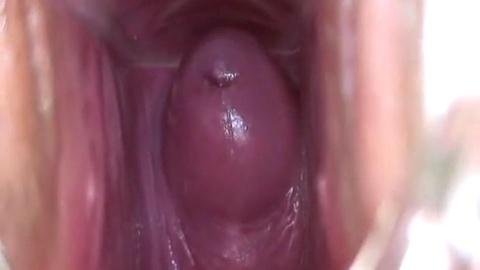 逼里面的样子
