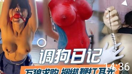 重口调教国产精品完狼求购舔狗笔记捆绑