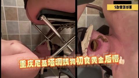 重庆尼基塔调贱狗初食黄金后懵