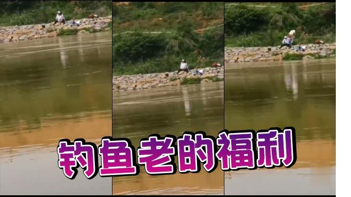 钓鱼老的福利