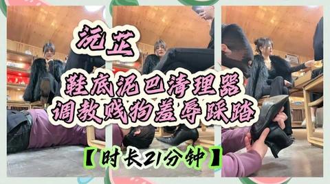 鞋底泥巴清理器调教贱狗羞辱踩踏