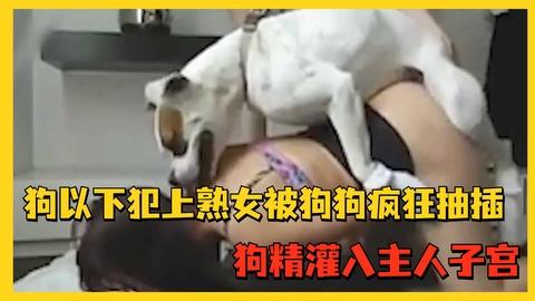 高清狗以下犯上熟女被狗狗疯狂抽插狗精灌入主人子宫